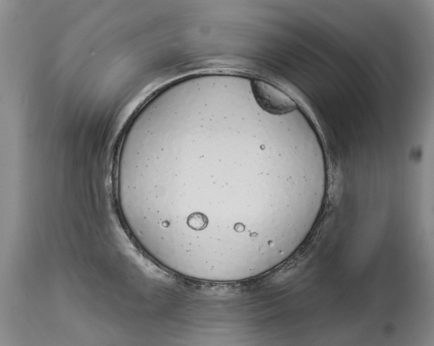 X0000114161099200911051459