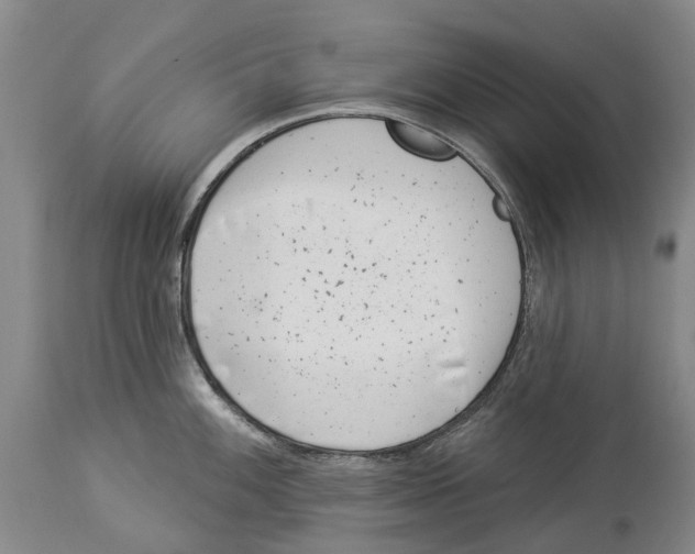 X0000114161100200911051459