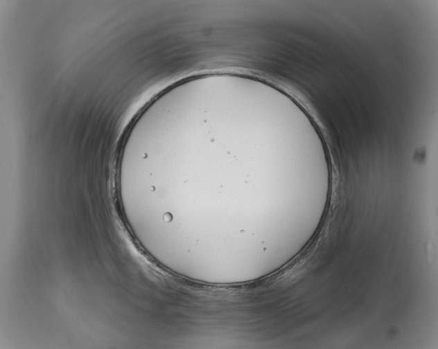 X0000114161101200911051459