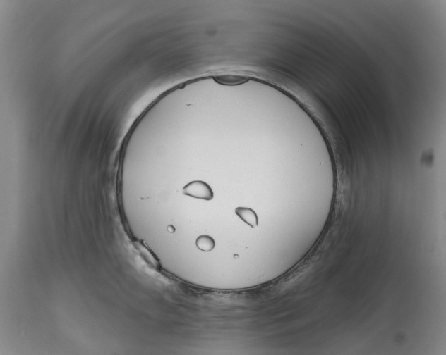 X0000114161102200911051459