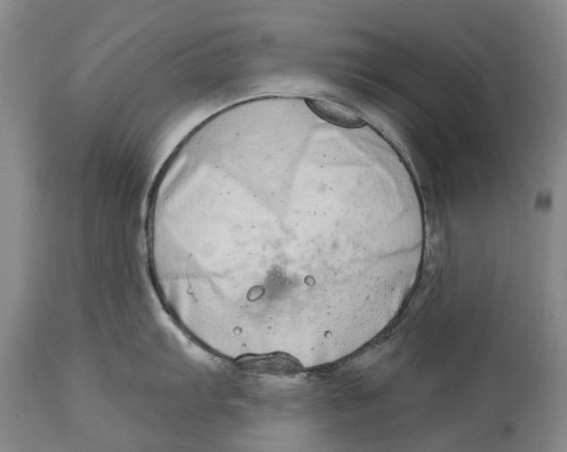 X0000114161103200911051459