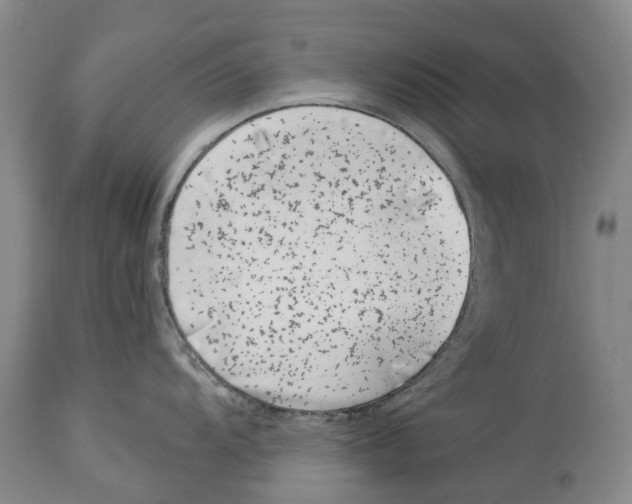 X0000114161104200911051459