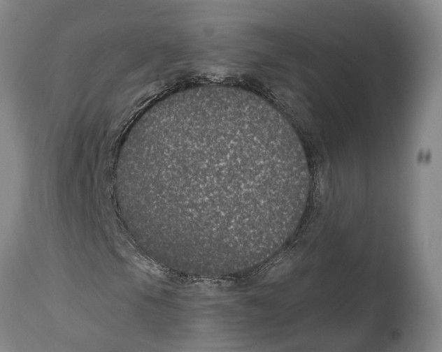 X0000114161105200911051458