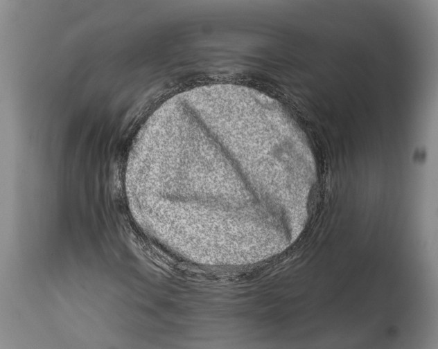 X0000114161106200911051458