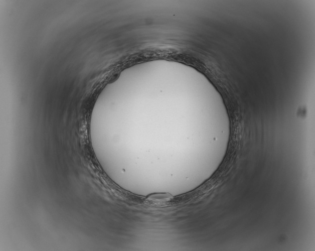 X0000114161109200911051458