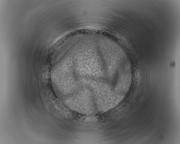 X0000114161110200911051458