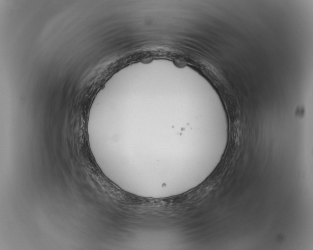 X0000114161111200911051458