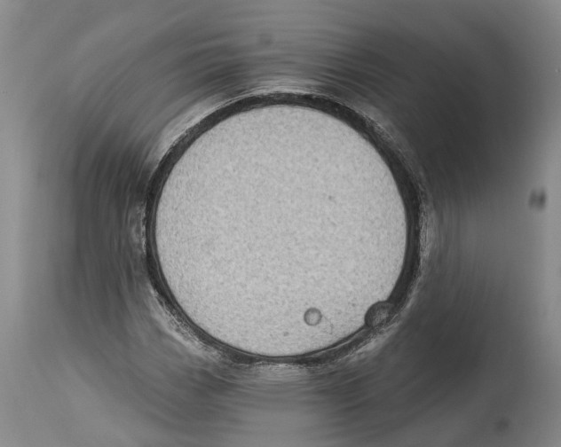 X0000114161113200911051458