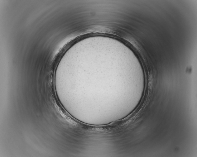 X0000114161115200911051458