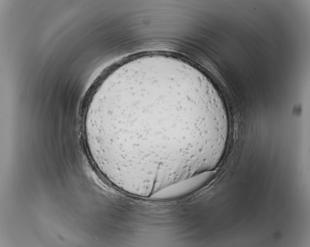 X0000114161116200911051458