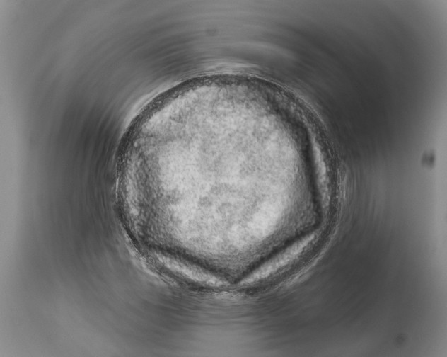 X0000114161117200911051458