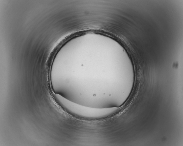 X0000114161118200911051458