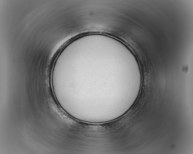 X0000114161120200911051458