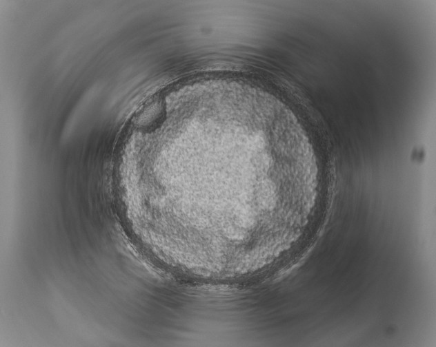 X0000114161121200911051458