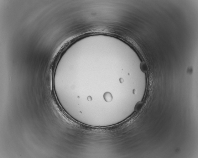 X0000114161123200911051458