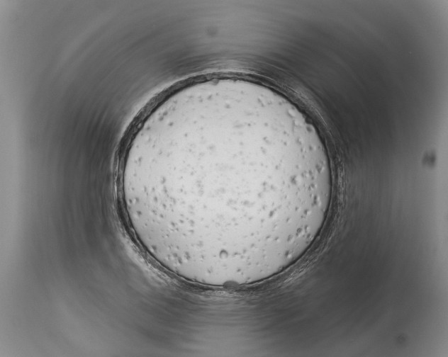 X0000114161124200911051458