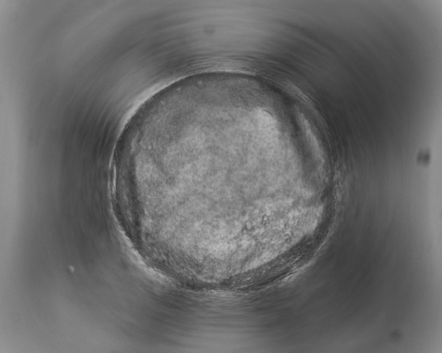 X0000114161125200911051458