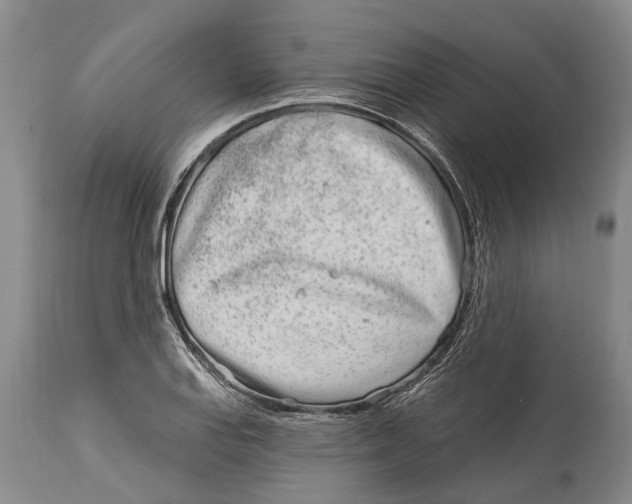 X0000114161127200911051458