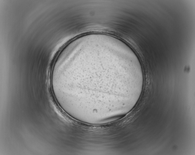 X0000114161128200911051458