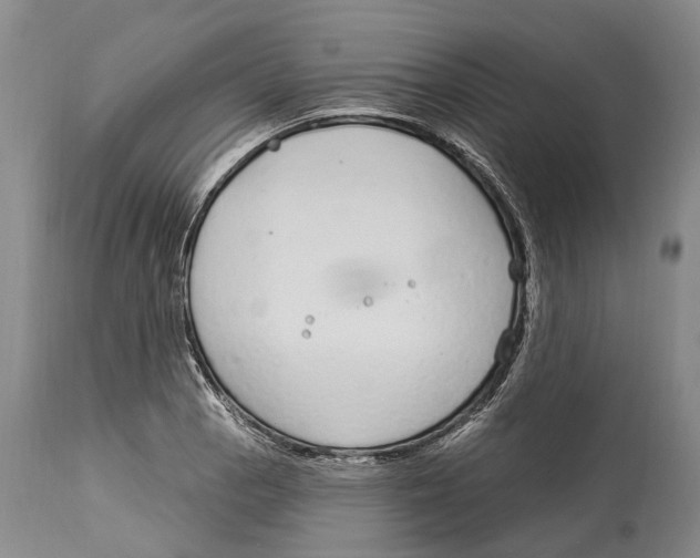 X0000114161129200911051459