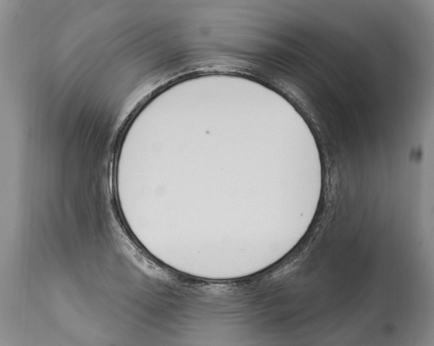 X0000114161130200911051459