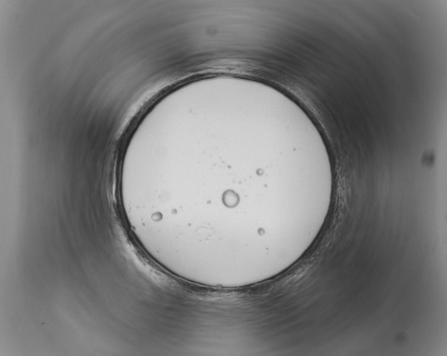 X0000114161131200911051459