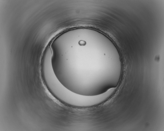 X0000114161134200911051459