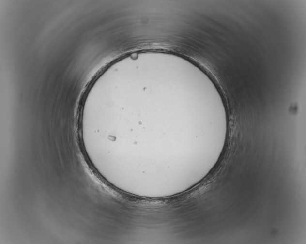 X0000114161135200911051459