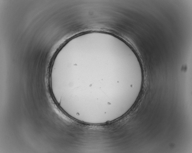 X0000114161136200911051459