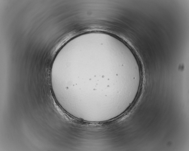 X0000114161137200911051459