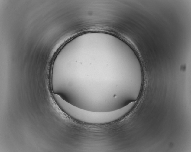 X0000114161138200911051459