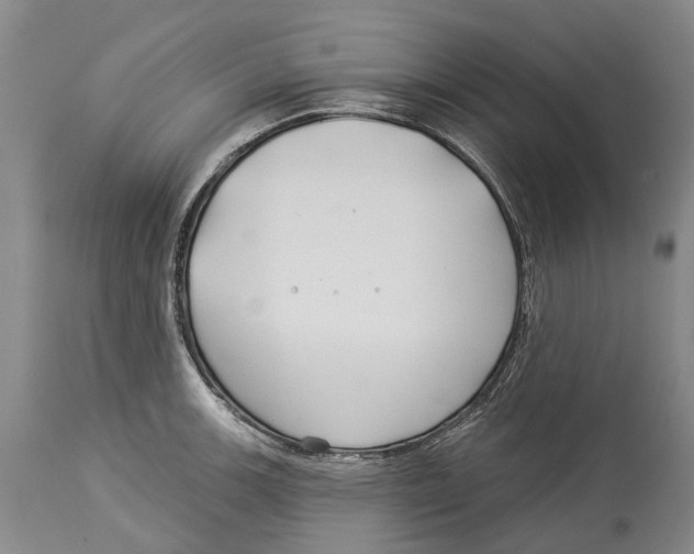 X0000114161139200911051459