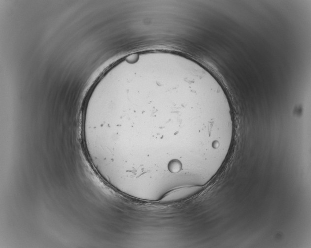 X0000114161140200911051459