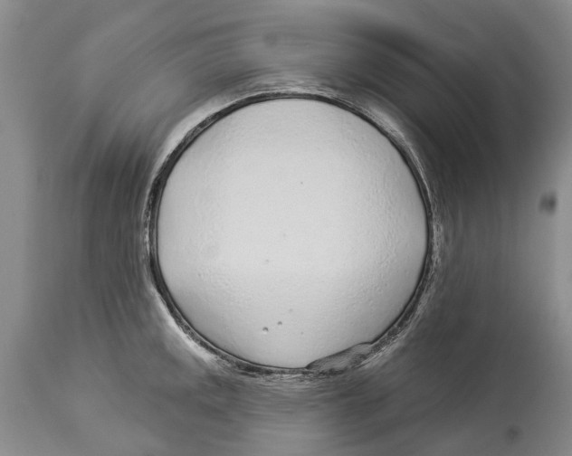 X0000114161141200911051459