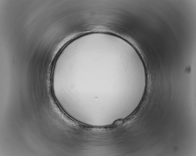 X0000114161142200911051459