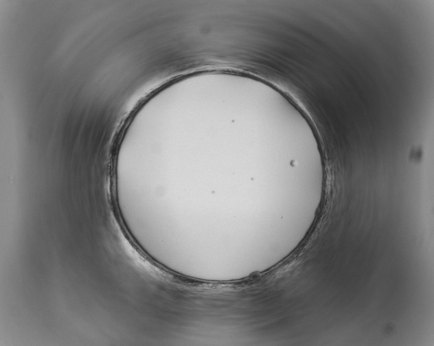 X0000114161143200911051459