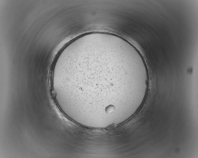 X0000114161144200911051459