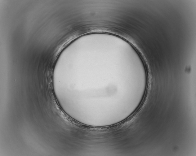 X0000114161145200911051459