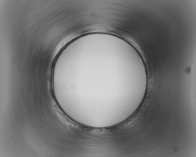 X0000114161146200911051459