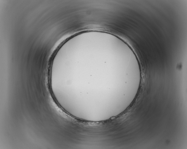 X0000114161147200911051459