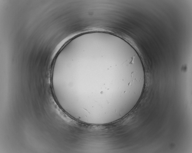 X0000114161148200911051459