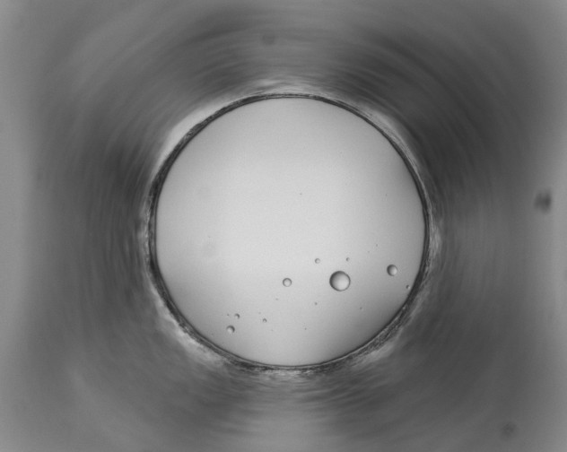 X0000114161149200911051459