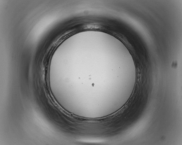 X0000114161151200911051459