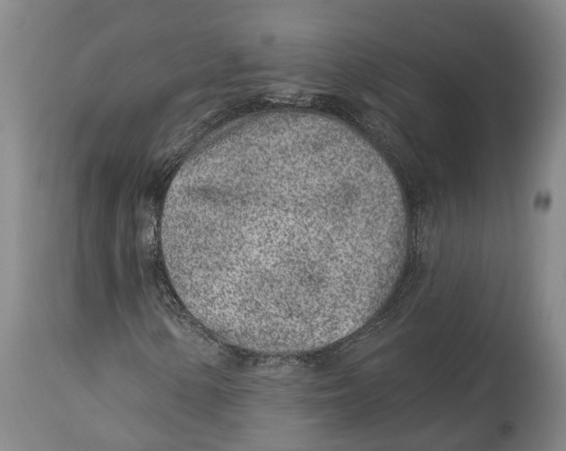 X0000114161154200911051458