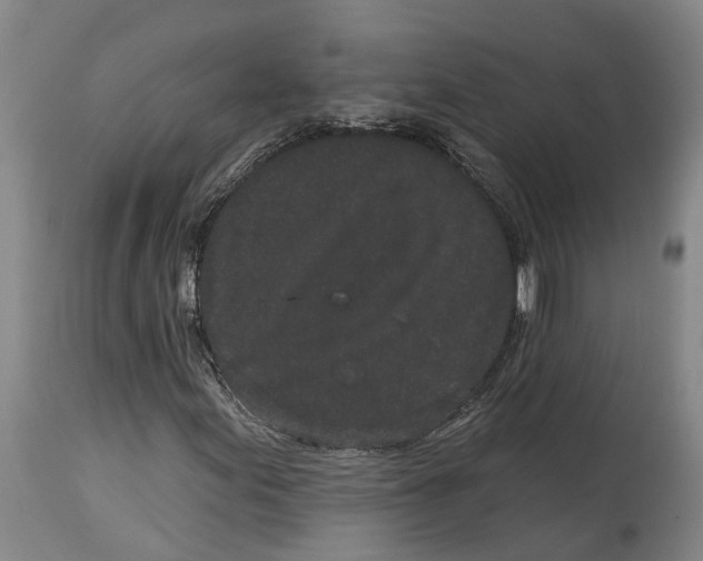 X0000114161155200911051458