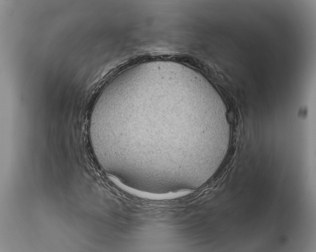 X0000114161157200911051458