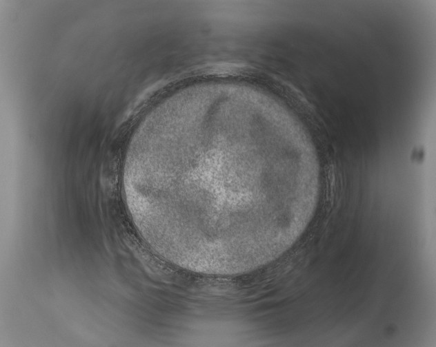 X0000114161158200911051458