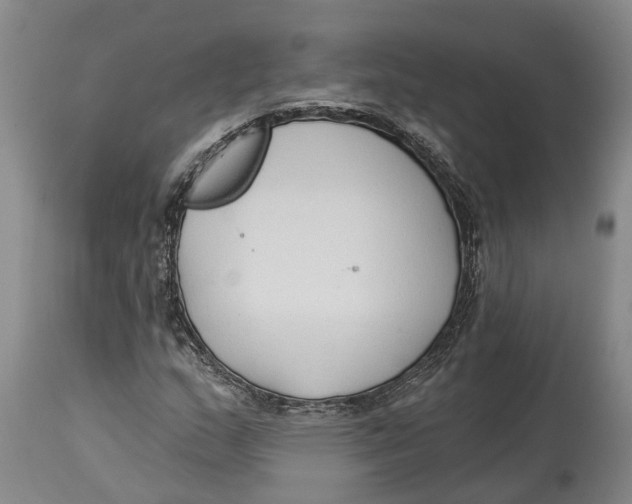 X0000114161159200911051458