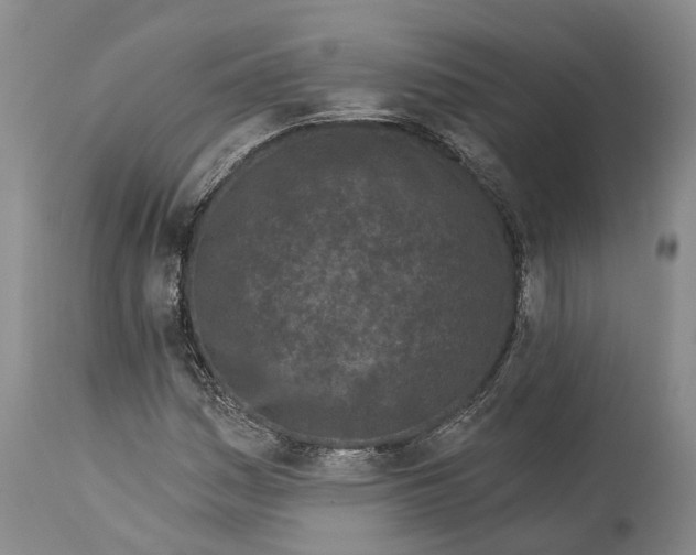 X0000114161161200911051458