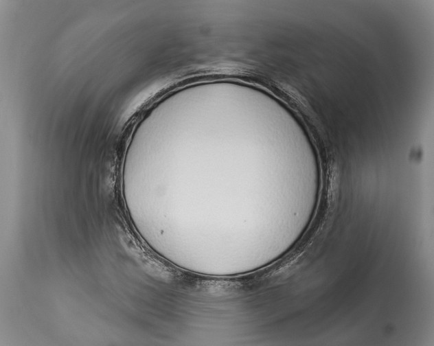 X0000114161163200911051458